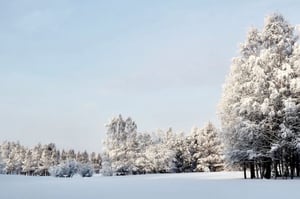 CBRE-sweden-winter