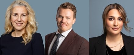 The Nordics Research Team